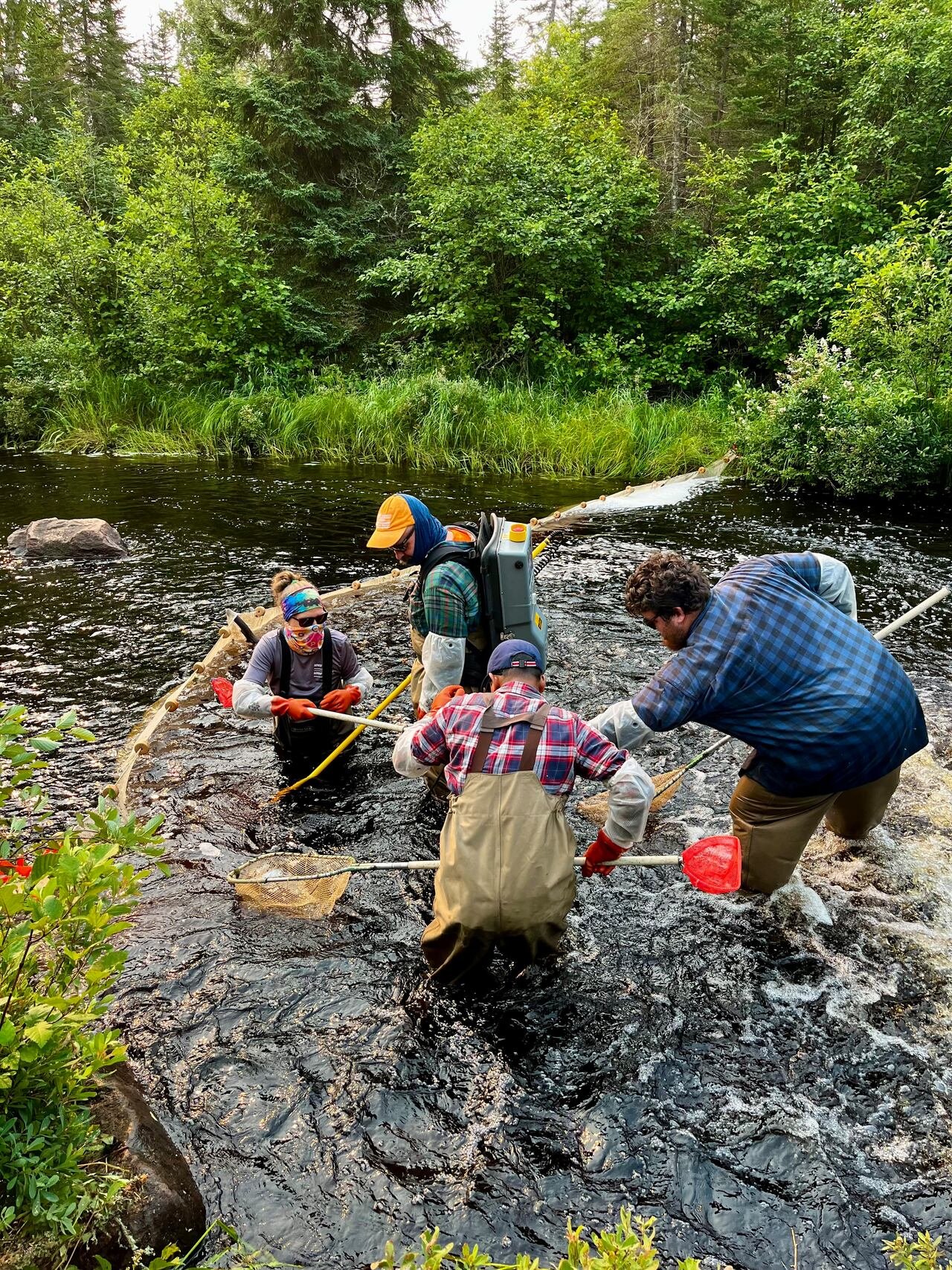A group of people in the water