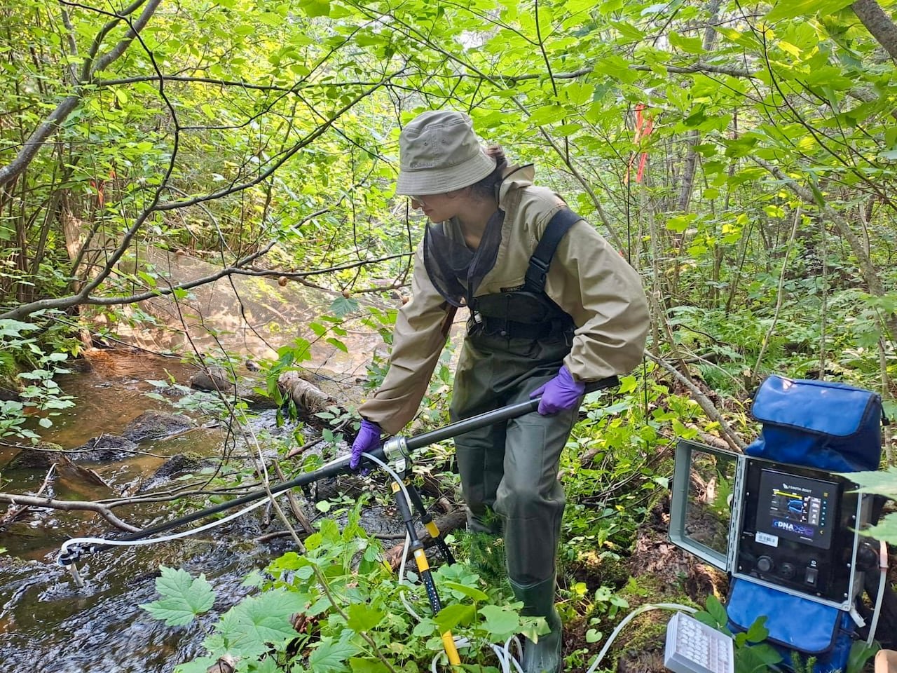 A girl stands in a stream