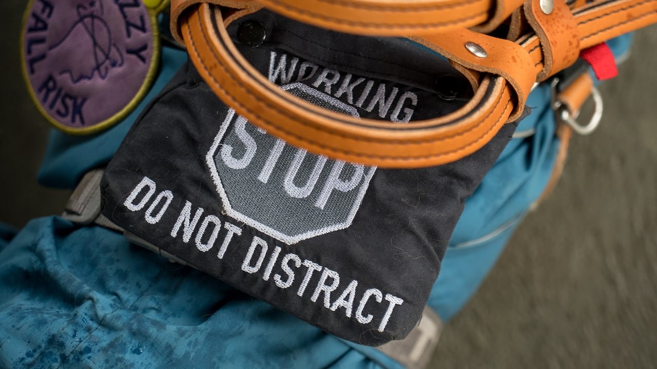 default-421 A service dog harness that says "working. stop. Do not distract."